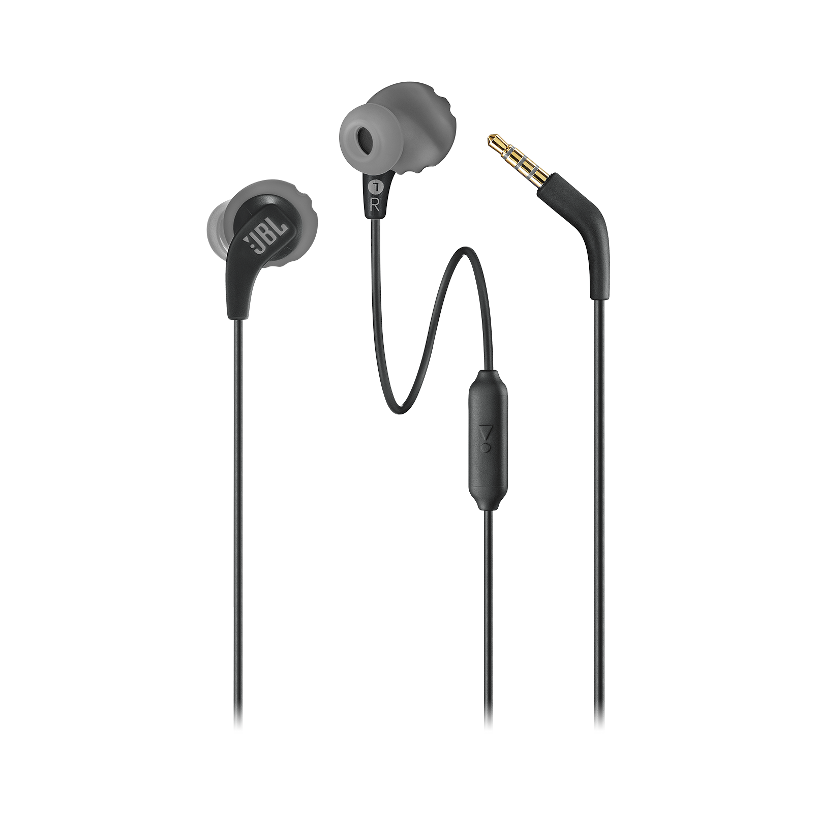 jbl endure run